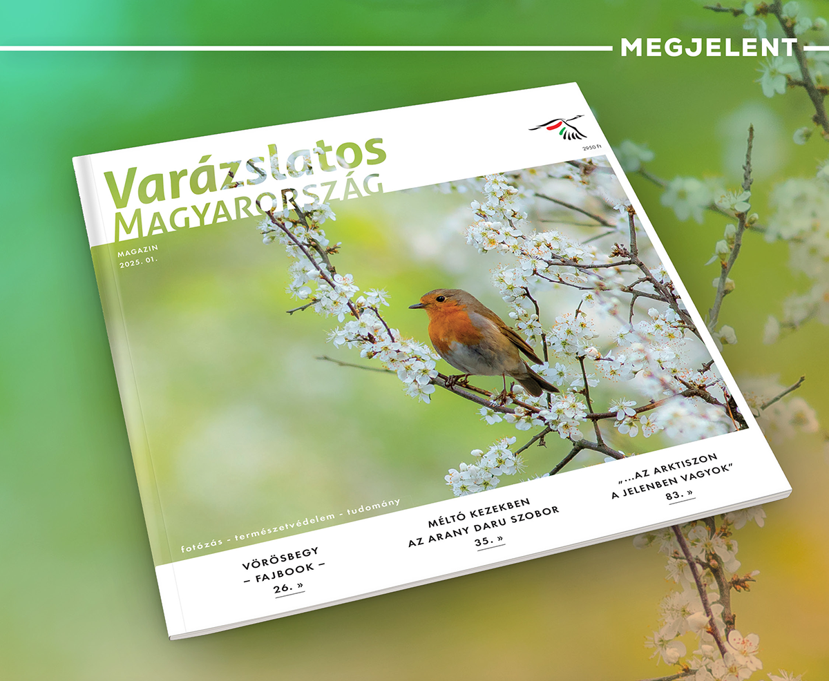 Megjelent a VM MAGAZIN legújabb száma!