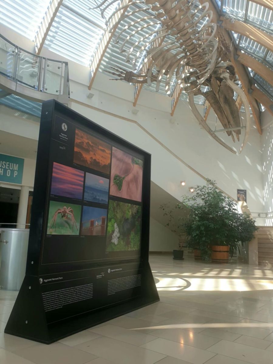 A magyar természetfotó nagydíjának tablói a Magyar Természettudományi Múzeumban