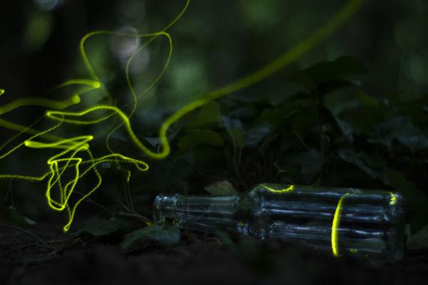 Ifjúsági kategória