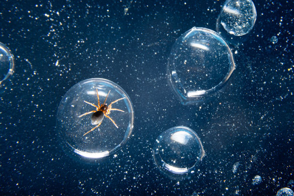 Megszülettek a VM februári fotópályázatának eredményei