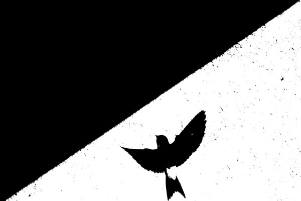 Kompozíció és forma 