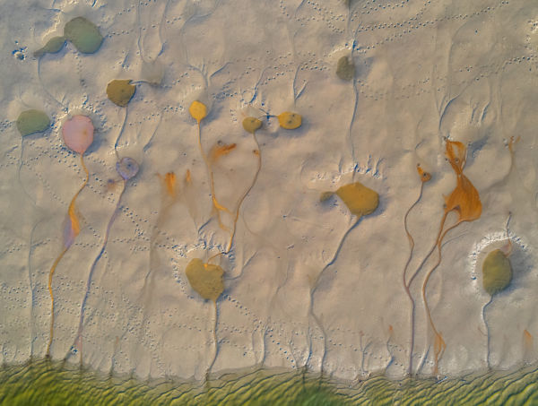 Kompozíció és forma 