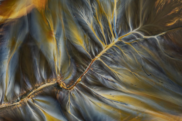 Kompozíció és forma 